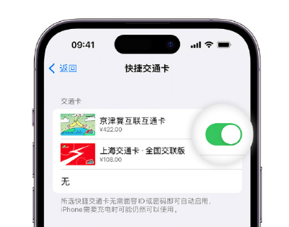 交口apple维修点分享iPhone上更换Apple Pay快捷交通卡手绘卡面 