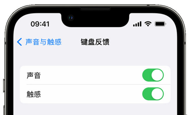 交口苹果手机维修分享iPhone 14触感键盘使用方法 