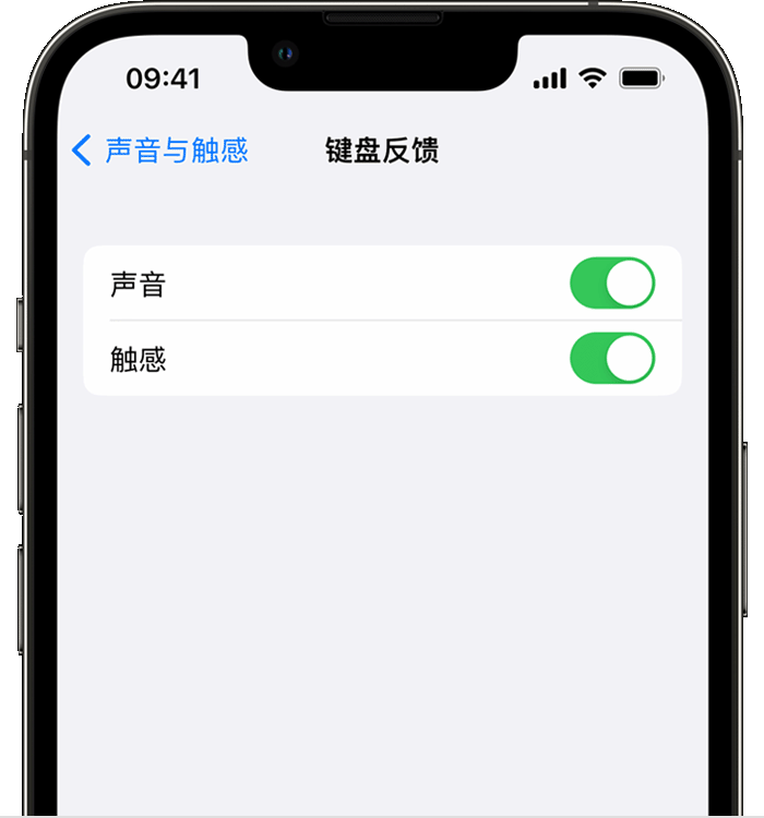 交口苹果14维修店分享如何在 iPhone 14 机型中使用触感键盘 