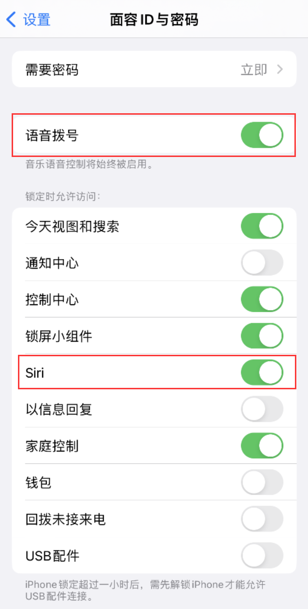 交口苹果维修网点分享不解锁 iPhone 的情况下通过 Siri 拨打电话的方法 