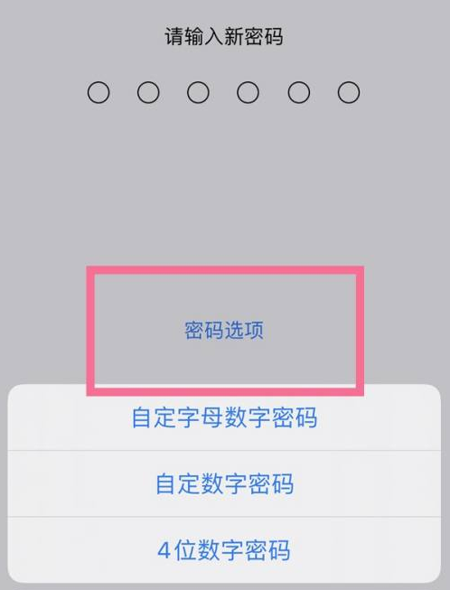 交口苹果14维修分享iPhone 14plus设置密码的方法 