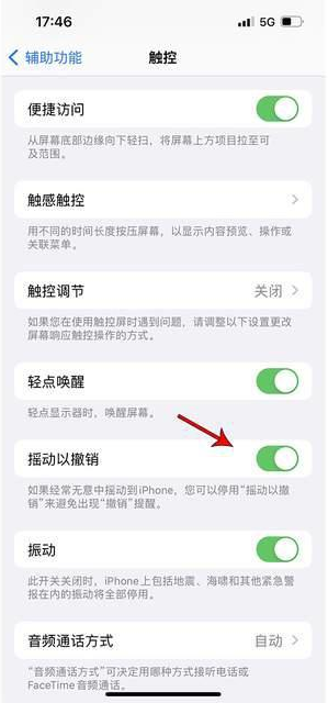 交口苹果手机维修分享iPhone手机如何设置摇一摇删除文字 