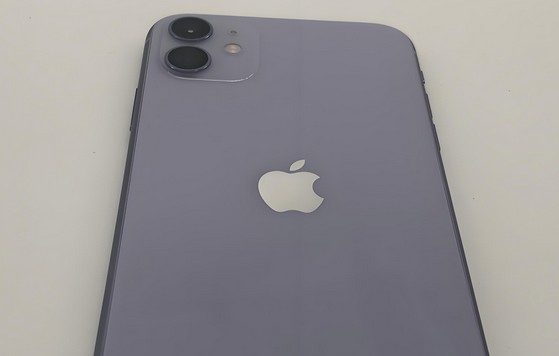 交口苹果11系统维修分享iPhone11手机系统崩溃无法开机如何解决 
